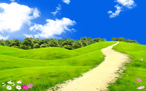 ̲ݵʻշ羰ֽ