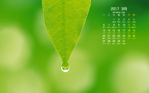 Ҷˮ20173ֽ