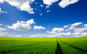 ε�������,��Խ��Ұ������Ȼ��������ֽ