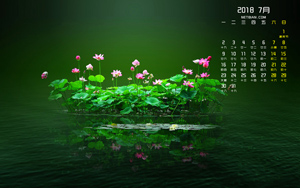 �ɻ�2018��7�����������ֽ