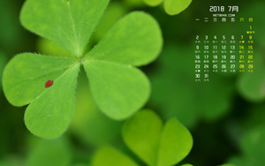 ��Ҷ��2018��7�����������ֽ����