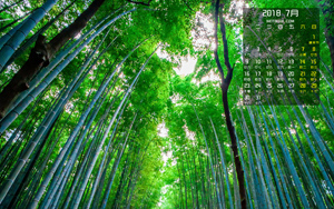 ����2018��7�������羰�����ֽ����