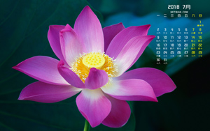 ����2018��7�����������ֽ