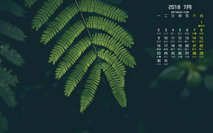 ��ɫާҶֲ��2018��7�����������ֽ