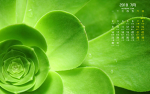 ��ɫֲ��2018��7�����������ֽ����