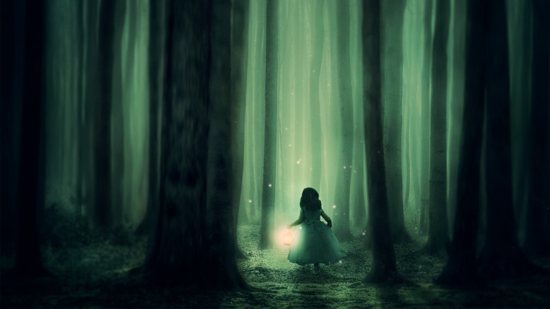森林 女孩 树木 灯笼 神秘 萤火虫 唯美意境壁纸