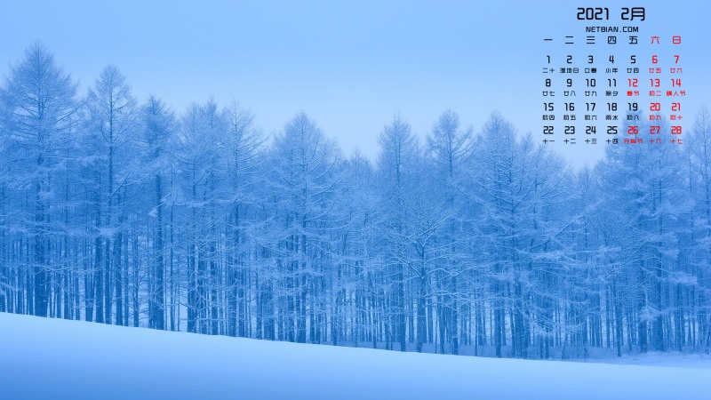 冬天树林风景2021年2月日历桌面壁纸