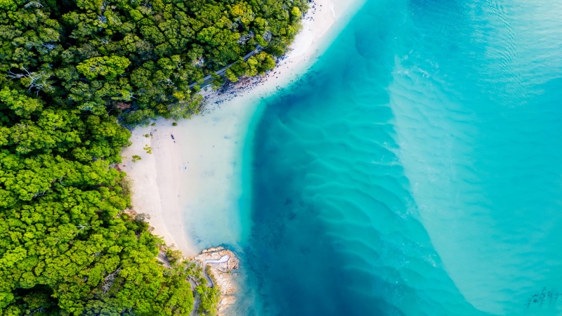 鸟瞰美丽的海洋风景 海边海滩 绿色树林 蓝色海水 win10主题风景壁纸