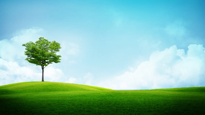 蓝天白云绿色草地和树风景壁纸