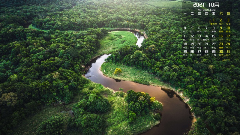 绿色丛林河流风景2021年10月日历桌面壁纸