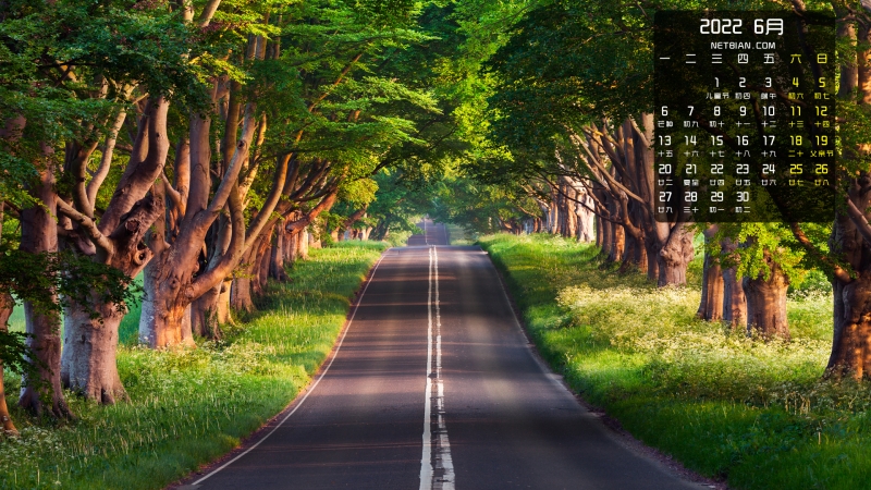 绿色森林公路风景2022年6月日历桌面壁纸护眼