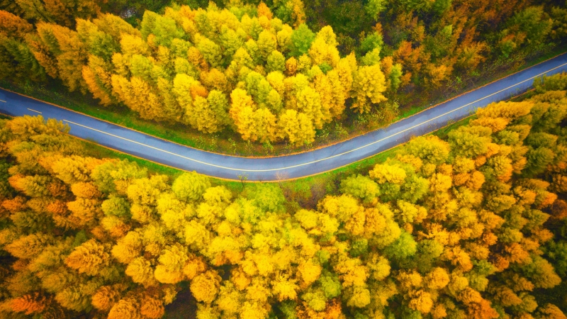 超高清 秋天 风景 公路 摄影 俯视 电脑壁纸