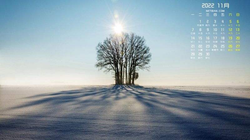 雪地上的树风景2022年11月日历壁纸