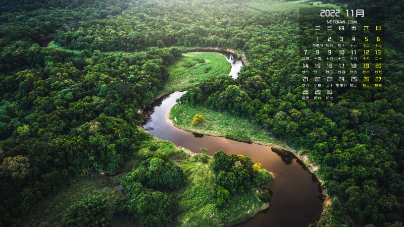 丛林河流风景2022年11月日历桌面壁纸