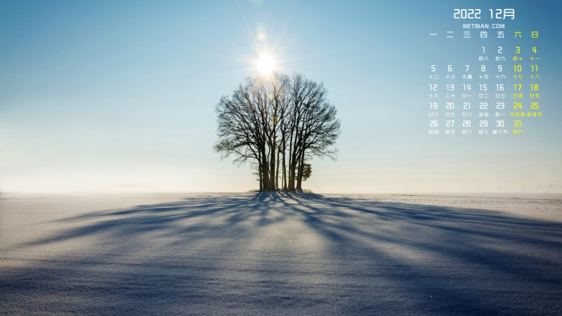 冬天风景 树 2022年12月日历图片 电脑壁纸