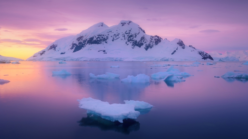 天堂湾 南极 冰雪 冰川 风景 壁纸