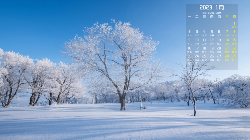雪景 雪地 树 自然风景2023年1月日历桌面壁纸