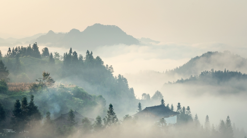 自然 山村 早晨 树 房子 雾 高清 风景 壁纸