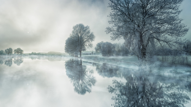 自然 树 雪 湖水 倒影 冬天 风景桌面壁纸