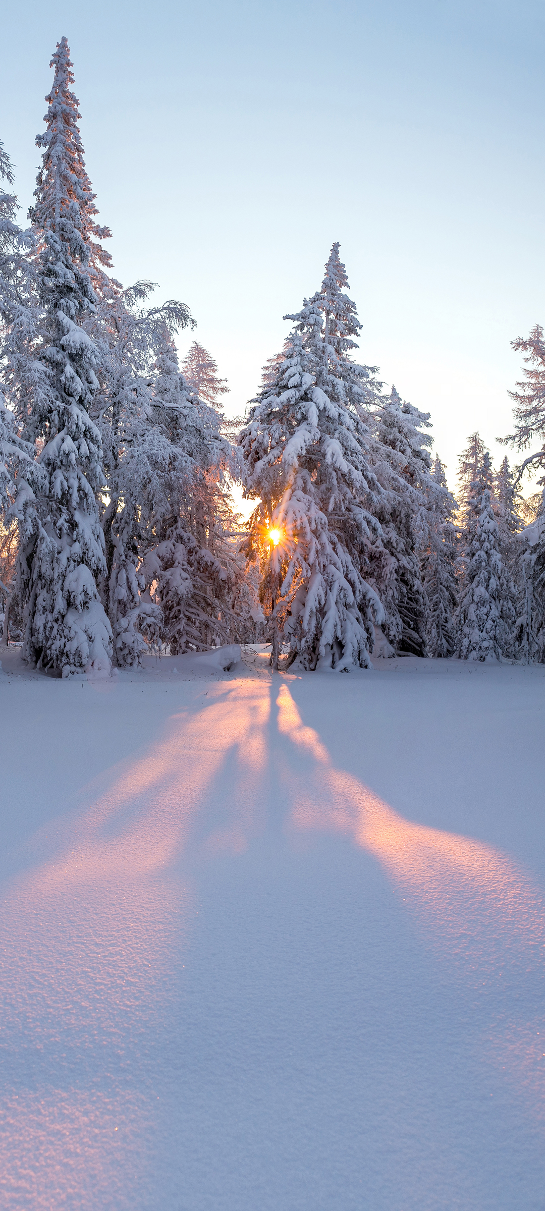 阳光照射,雪地雪山图片-千叶网