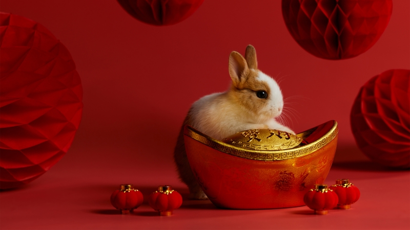 春节 兔子 灯笼 元宝 中国风 红色喜庆 过年 壁纸