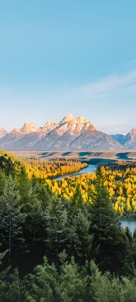 秋天的风景手机背景