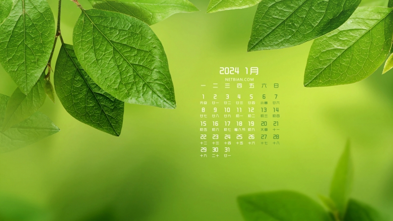 绿叶护眼背景2024年1月日历桌面壁纸