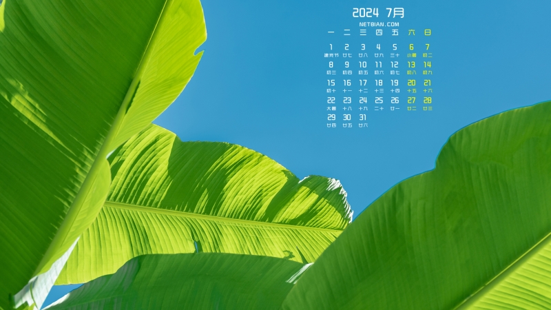  Banana Leaf July 2024 Desktop Calendar Wallpaper HD