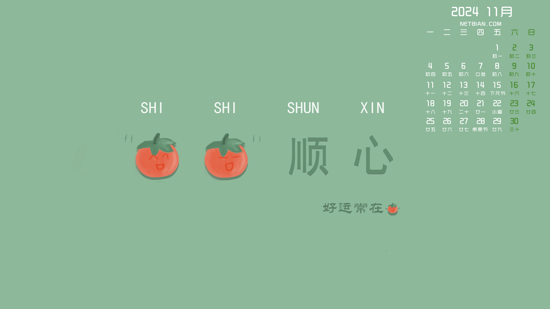 ˳202411µֽ