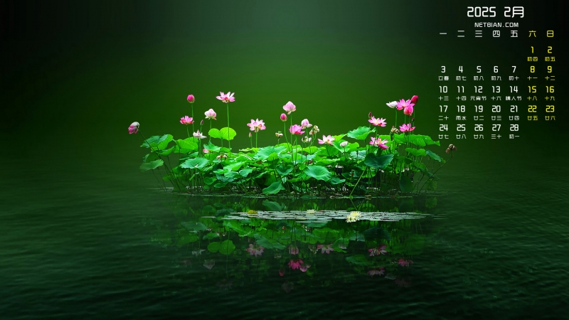 ɻ20252µֽ