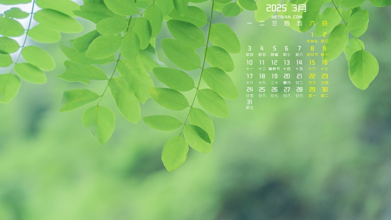 Ҷ20253ֽ