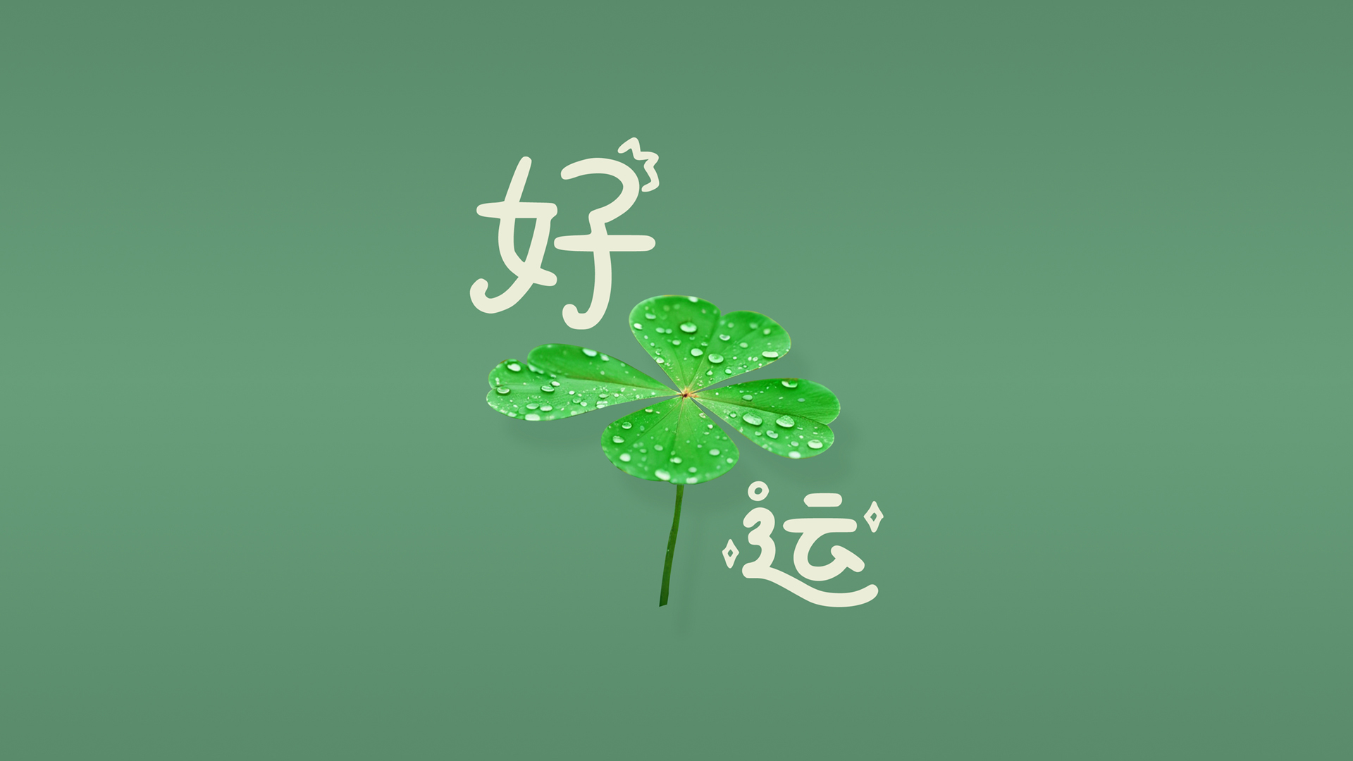 Ҷ   ˵ֽ