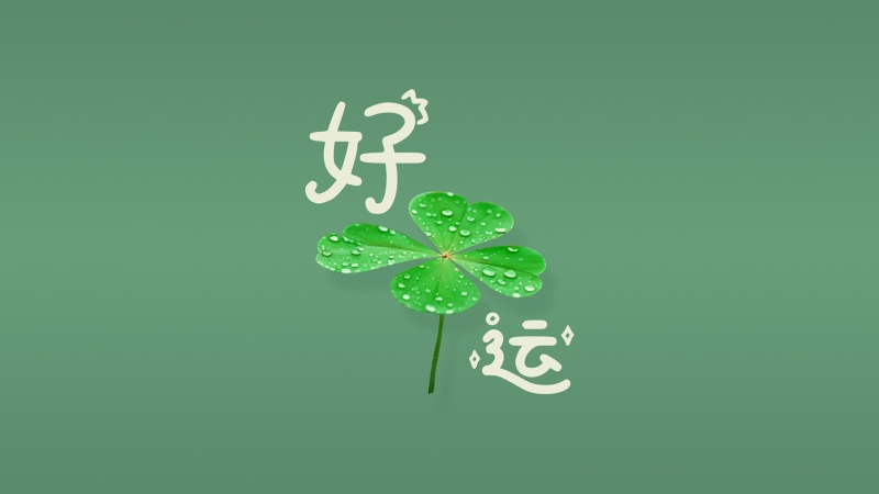 Ҷ   ˵ֽ