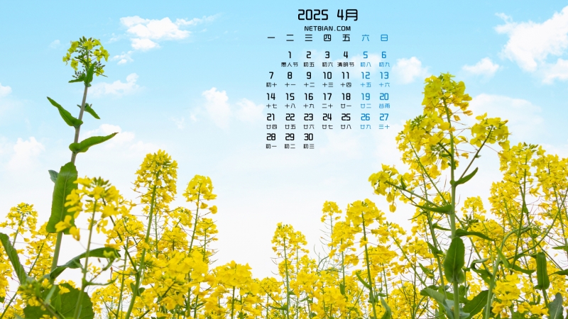Ͳ˻շ羰20254·ֽ