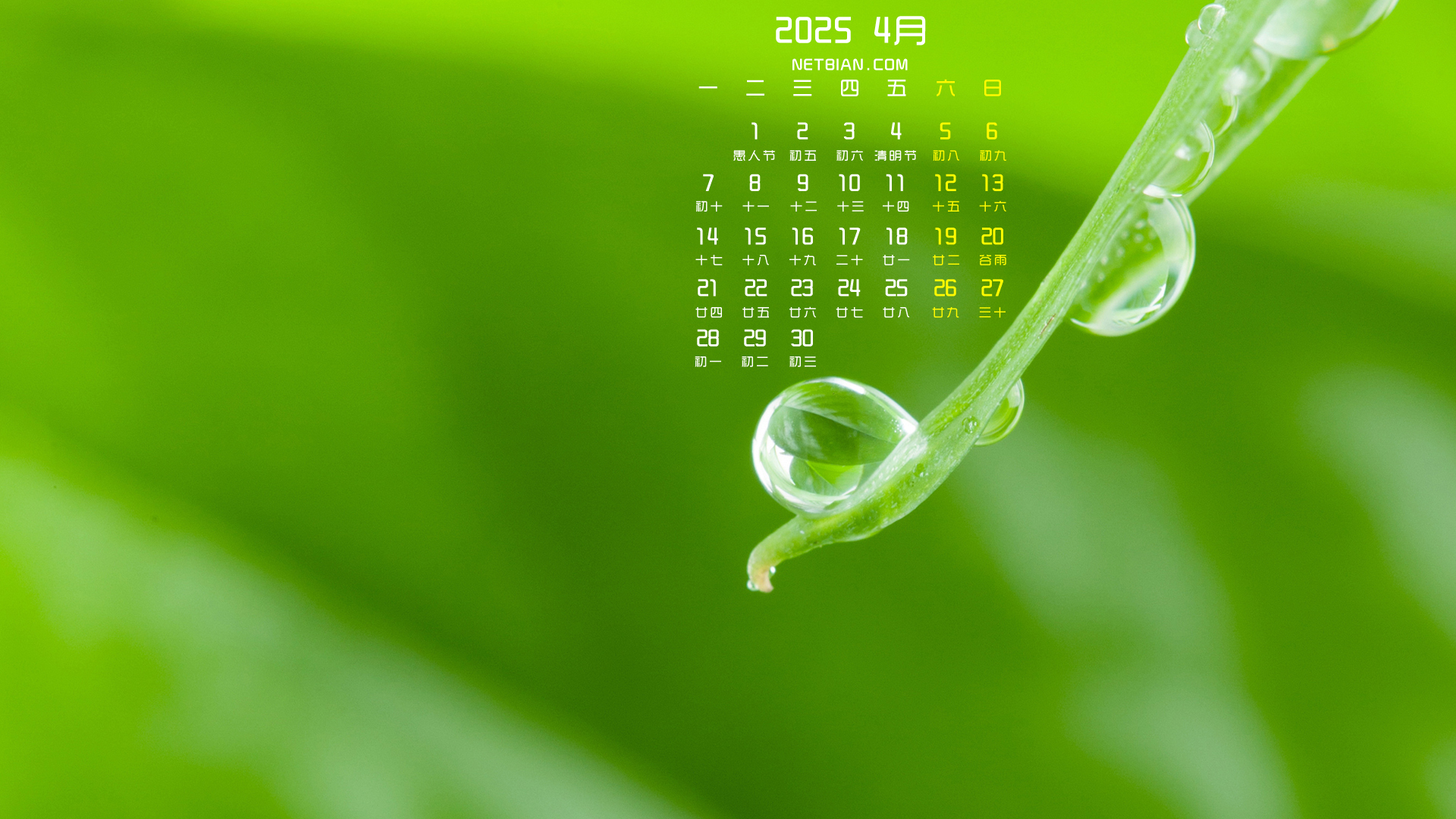 20254ֽȫ