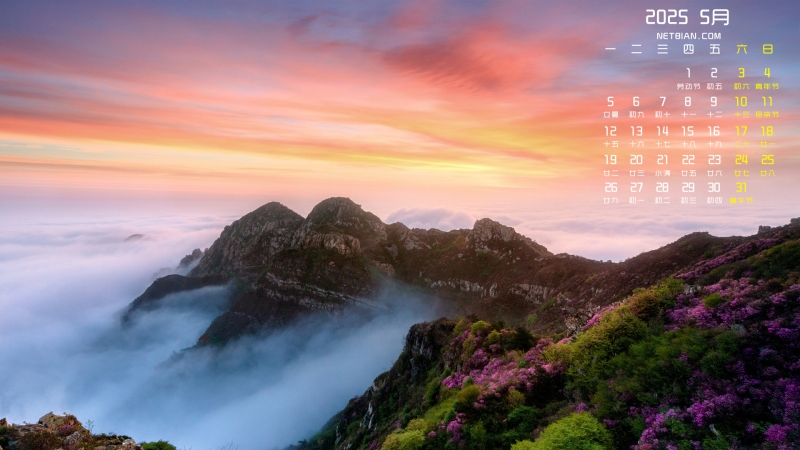 ɽ羰20255ֽȫ