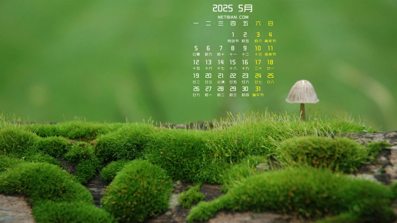 ɫֲ20255ֽ