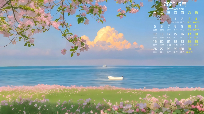 ʻ羰20255ֽȫ
