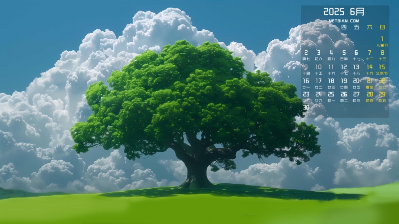 һ羰20256ֽȫ