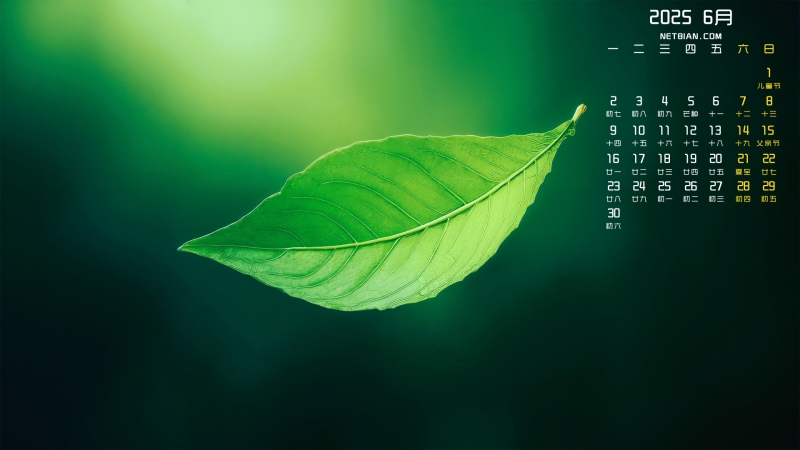 Ҷ20256µֽ