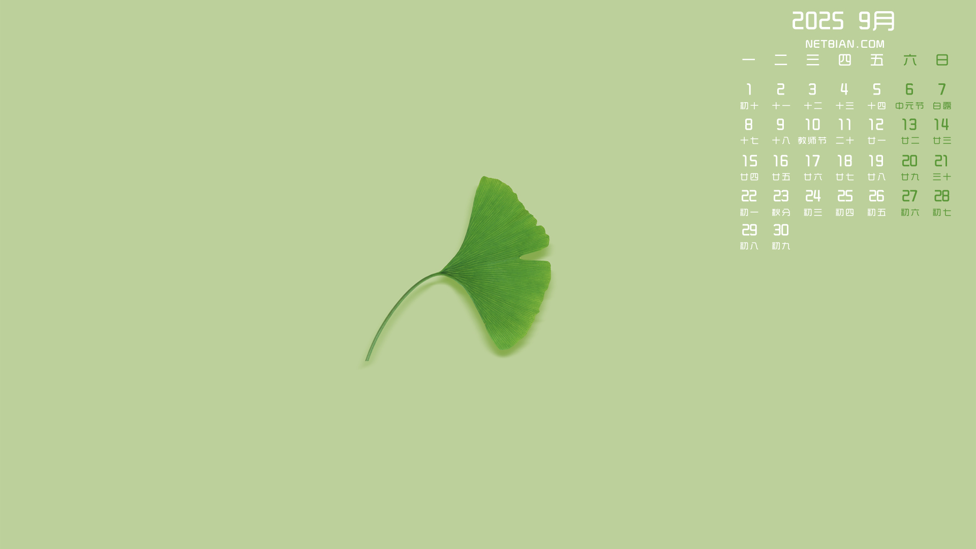 Ҷ20259ֽȫ