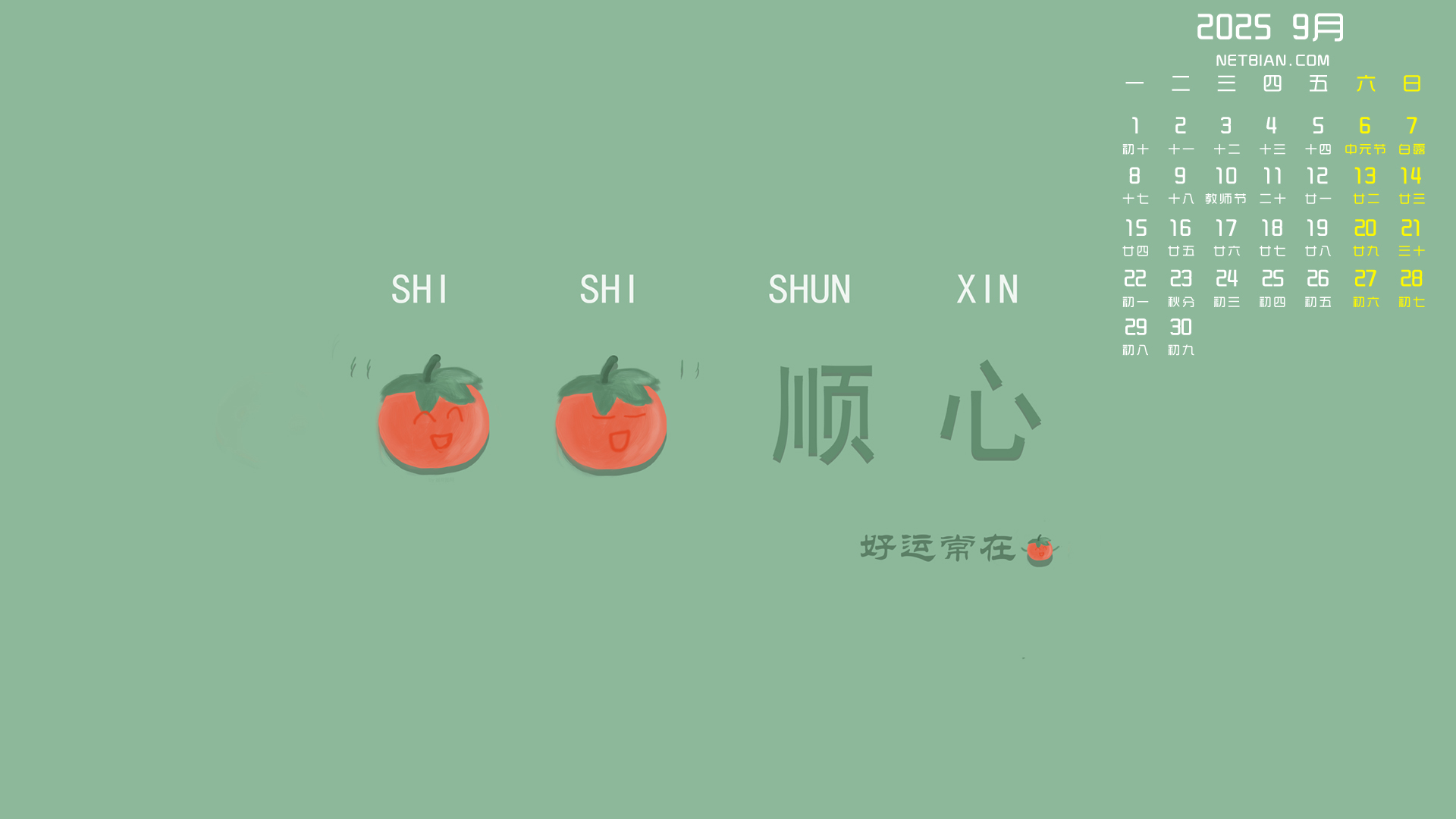 ˳20259ֽȫ