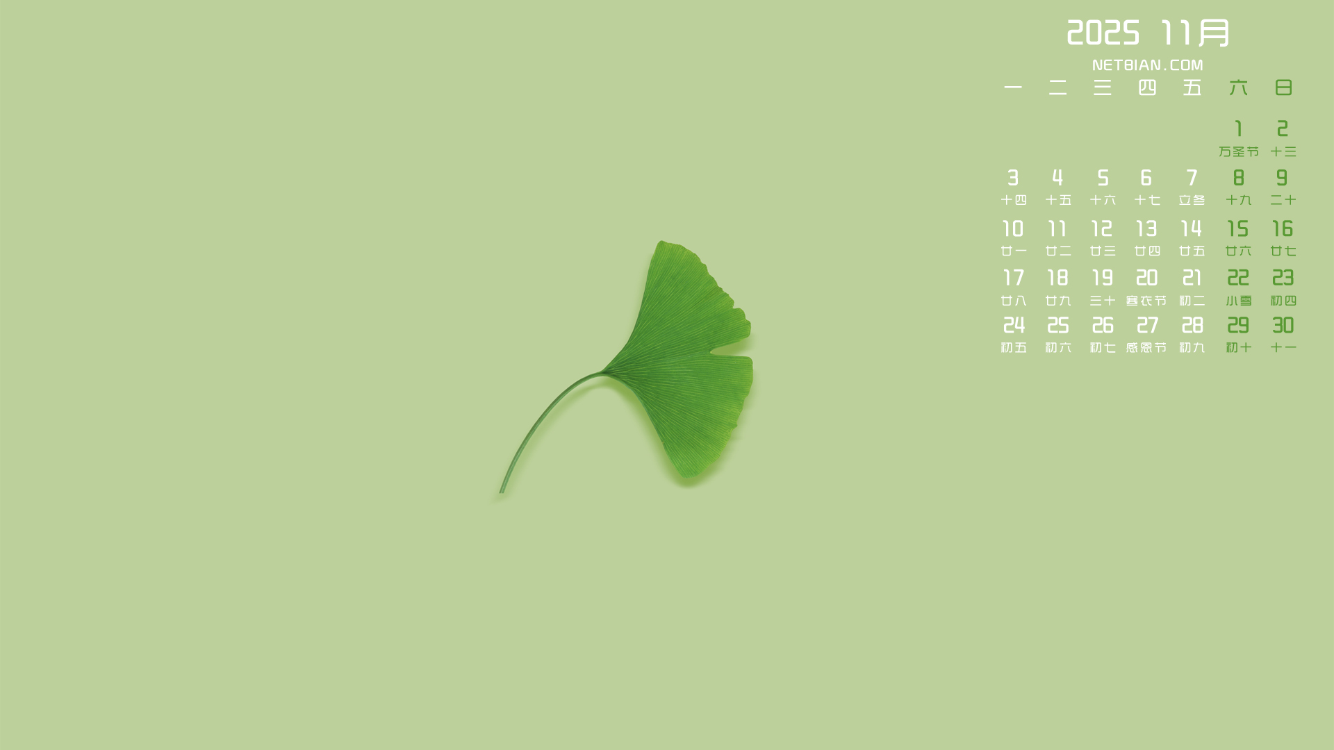 Ҷ202511µֽ