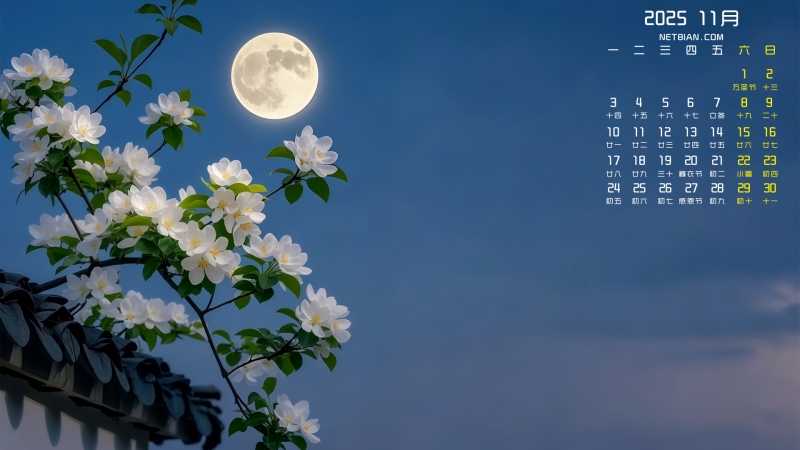 Ļ202511羰ֽ