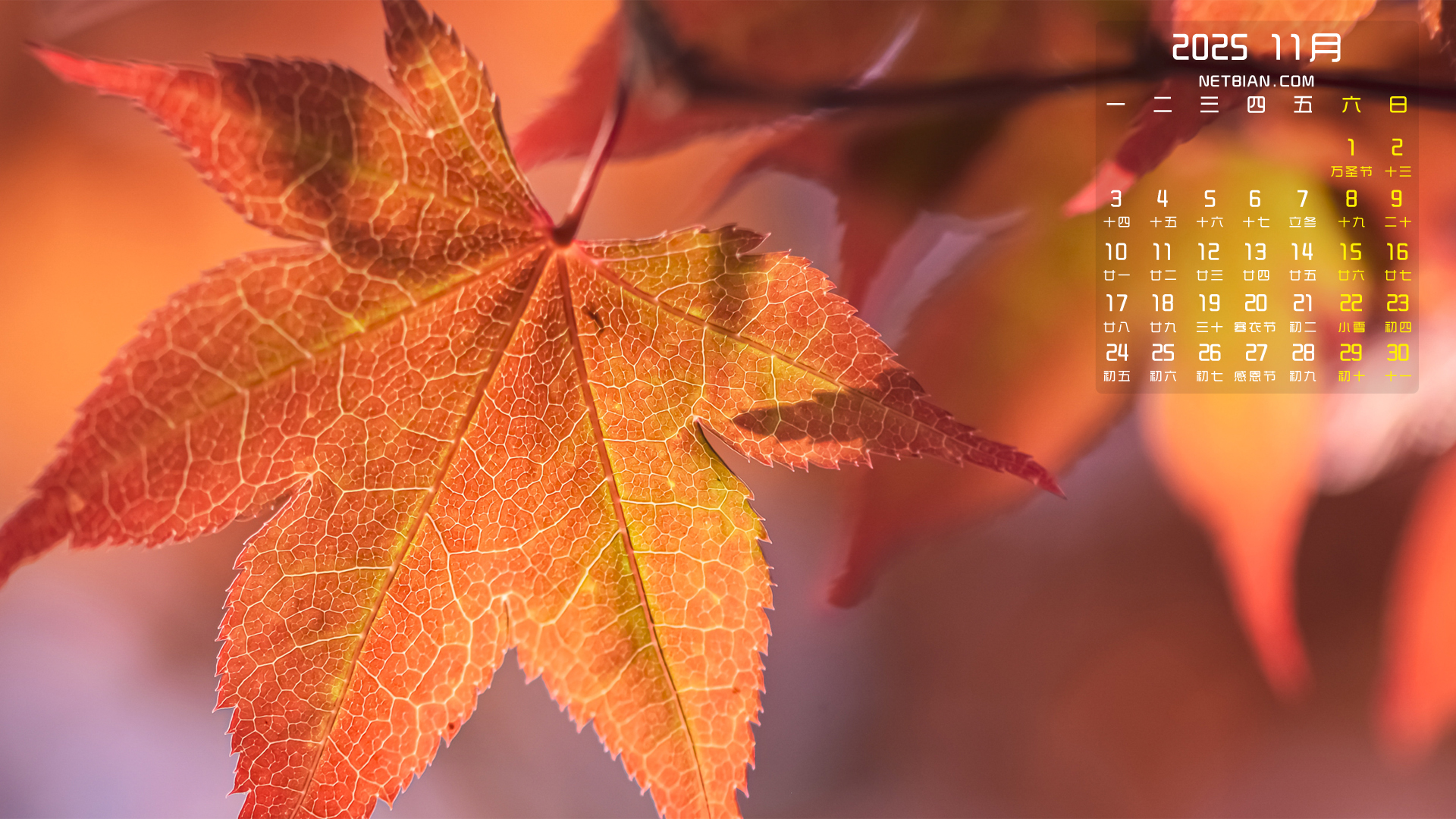 Ҷ202511µֽ