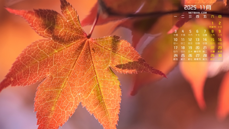 Ҷ202511µֽ
