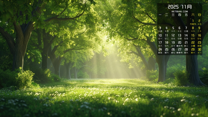 ɫɭ羰202511ֽ