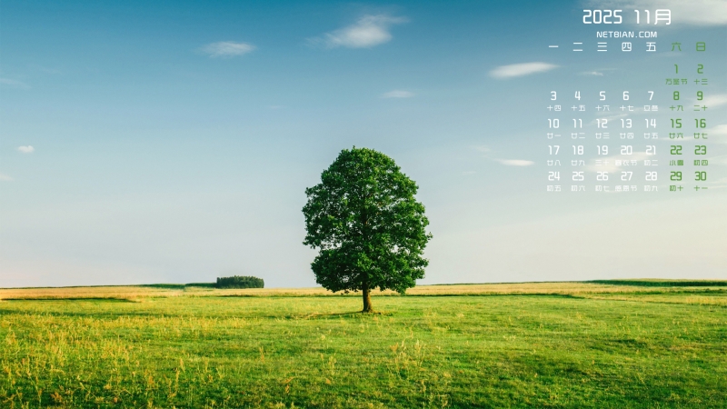 绿色草原一棵树风景2025年11月电脑桌面日历壁纸
