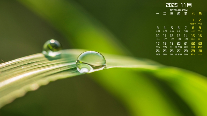 露珠2025年11月桌面日历壁纸护眼
