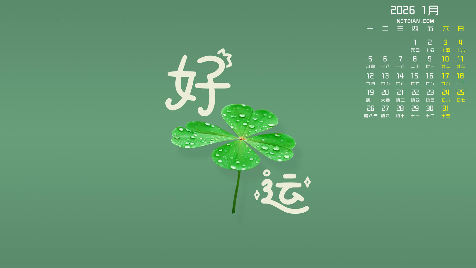 ����2026��1��������ֽ����